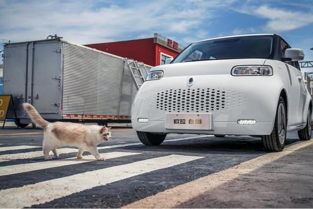 续航超400公里的白猫，欧拉新车即将上市，动物也要出圈？