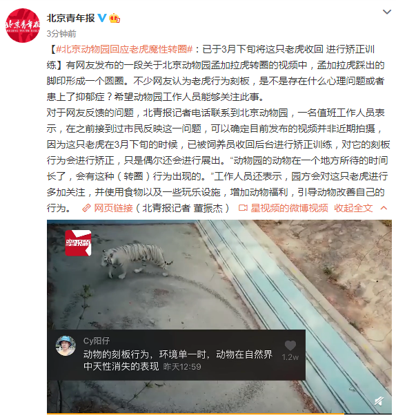 老虎魔性转圈让网友担心，北京动物园回应了