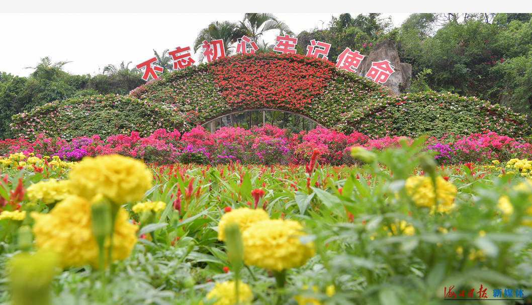 五一 新 花 样 54万盆鲜花扮靓海口 凤凰网