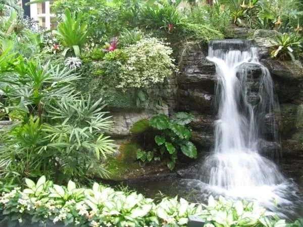 造,一个有水花园