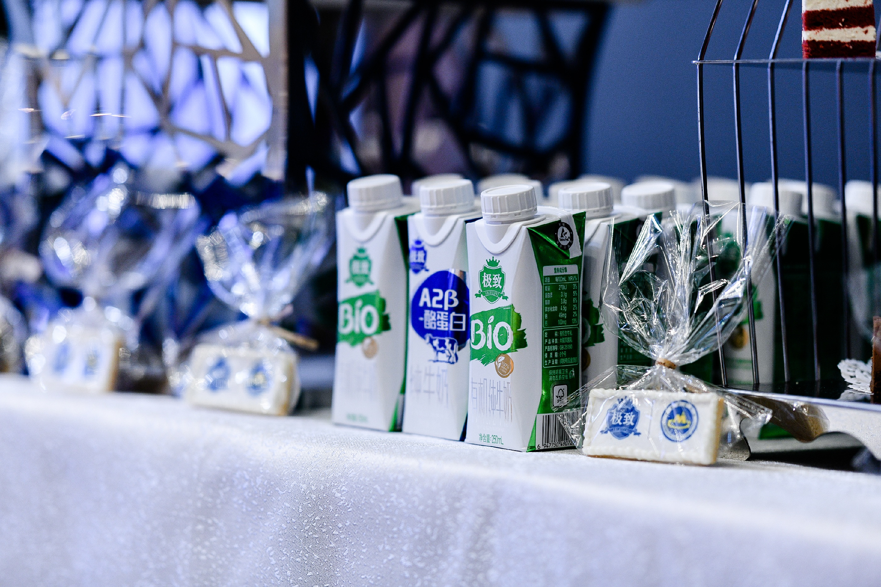 三元极致登峰中国登山队分享会六大亮点燃情巅峰时刻