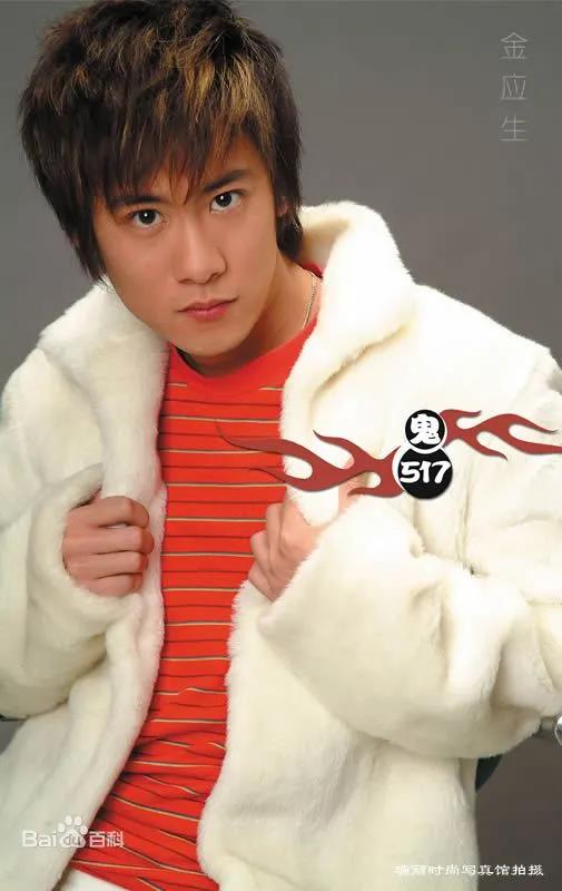 金应生如今的身份是演员,曾经多次出演电视剧,如《爱情海》《桃花源记