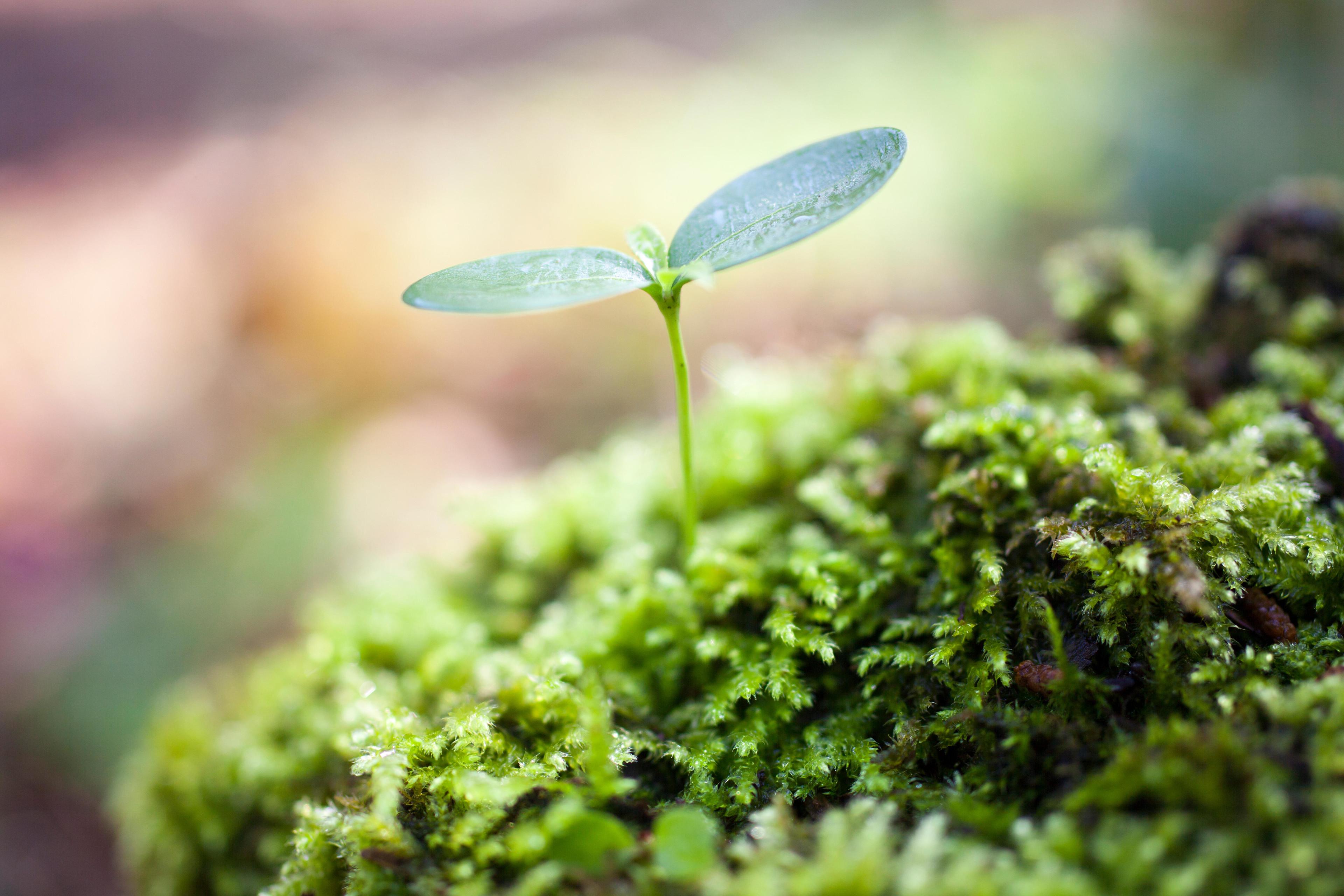 环保股崛起逻辑何在?还有这些低价股__凤凰网