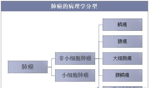 中国肺癌靶向药物治疗进展加快 Pd 1 Pd L有望成为一线主流用药 凤凰网