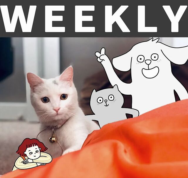 为阻止人们在疫情期间接吻人类采取了哪些迷惑行为weekly