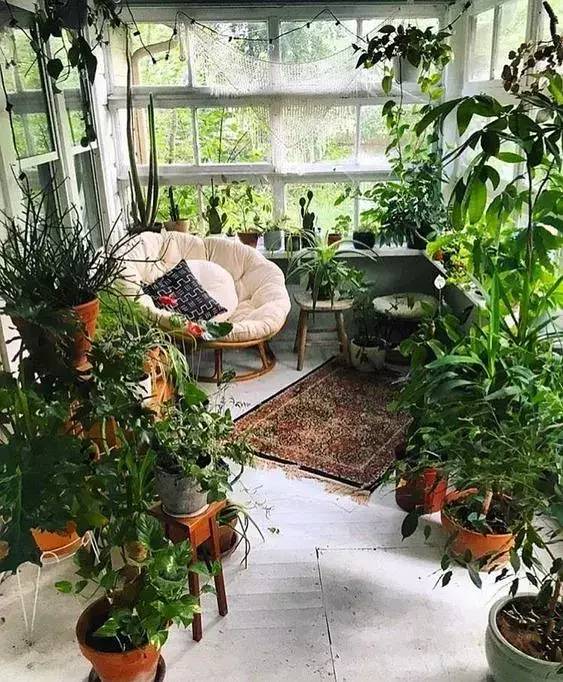 一个属于自己的室内花园__凤凰网