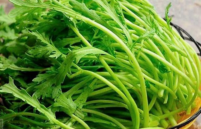 吃火锅必须要点的菜,不服来辩!__凤凰网