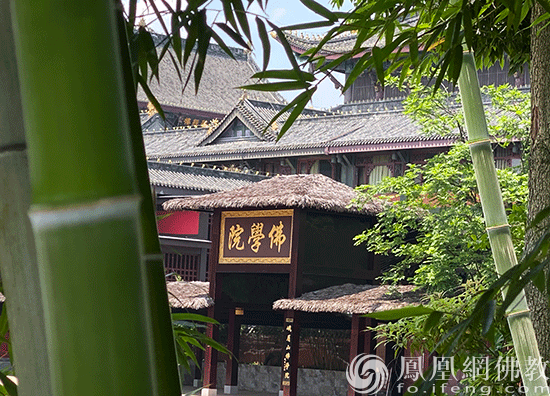 峨眉山佛学院(图片来源:凤凰网佛教 摄影:峨眉山佛学院)