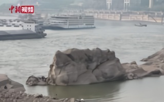 千年神龟奇石露出长江面 引重庆市民“打卡”