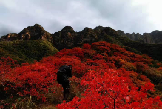 郑州旅游年卡推荐景区：仰韶古村落·赵沟古村