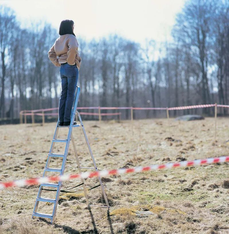 摄影师:Anders Norsell, Wanas Foundation