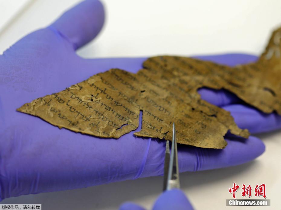 当地时间2020年6月2日,耶路撒冷,死海古卷实验室的工作人员在以色列文物局(IAA)查看基因取样片段。一项最新研究表明,从死海古卷(Dead Sea Scrolls)中提取的古代动物 DNA,或许能成为科学家解开犹大沙漠碎片谜题的钥匙。科学家希望通过这种新颖的方法产生一个死海古卷的“基因组”,从而帮助学者们解码这些神秘的文物。