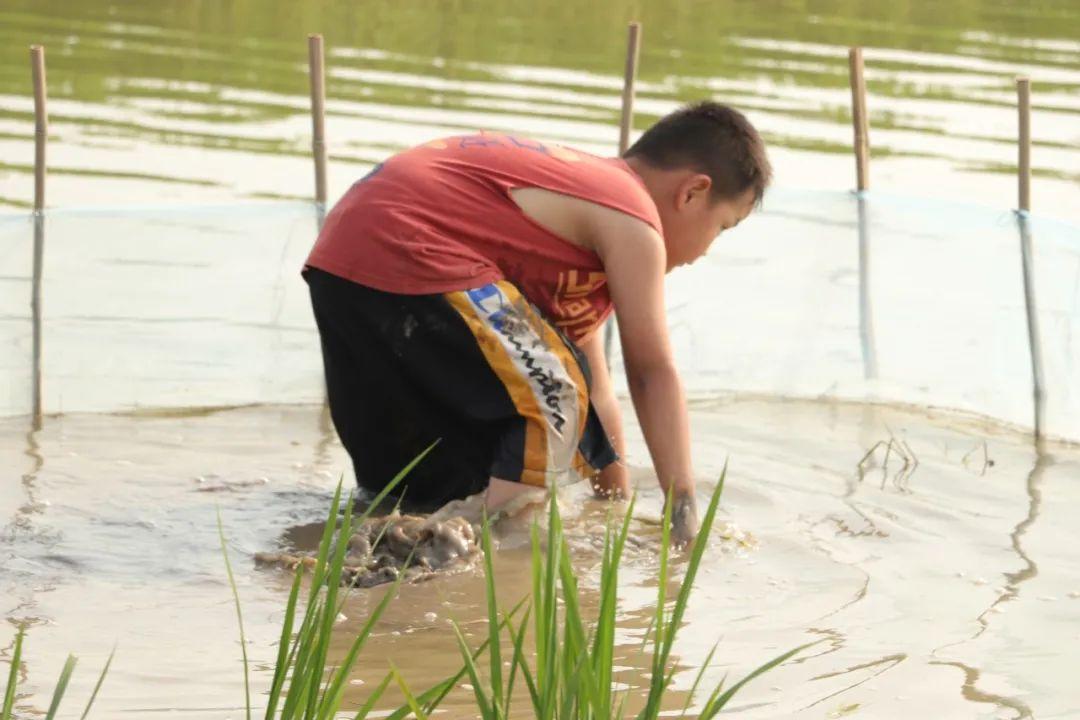 【秋季研学】浑水摸鱼,石磨面粉,稻草人diy,农场采摘.