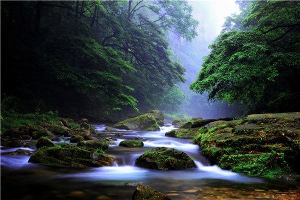 张家界旅游怎么玩，玩那些景点？张家界最佳旅游路线推荐！​