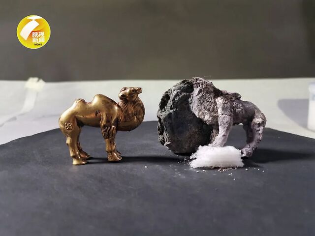 秦始皇陵园出土国内所见最早单体金银骆驼