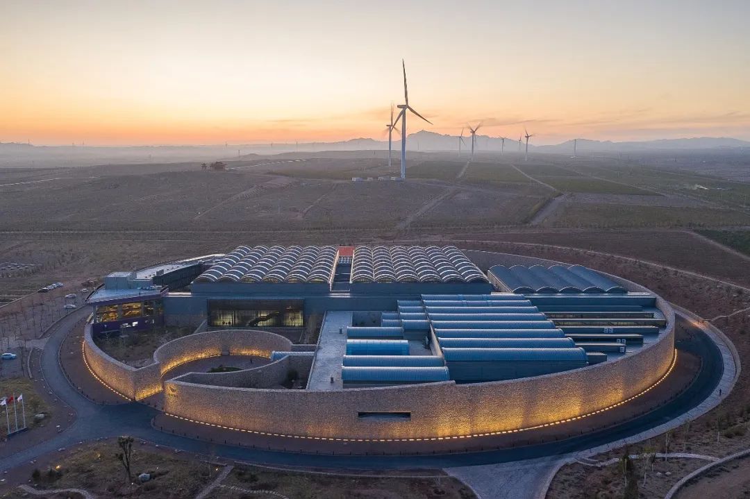 两会时间人民代表报关注西鸽酒庄她代表宁夏传递了怎样的声音