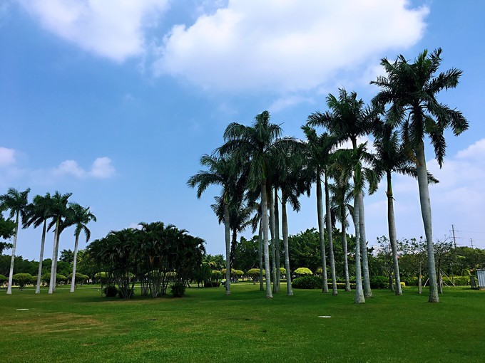 最新海南自由行攻略，纵有海口美食美景相伴