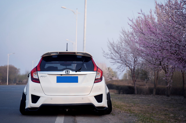 竞技范儿飞度gk5审美疲劳?来个清新素雅宽体姿态案例换换口味