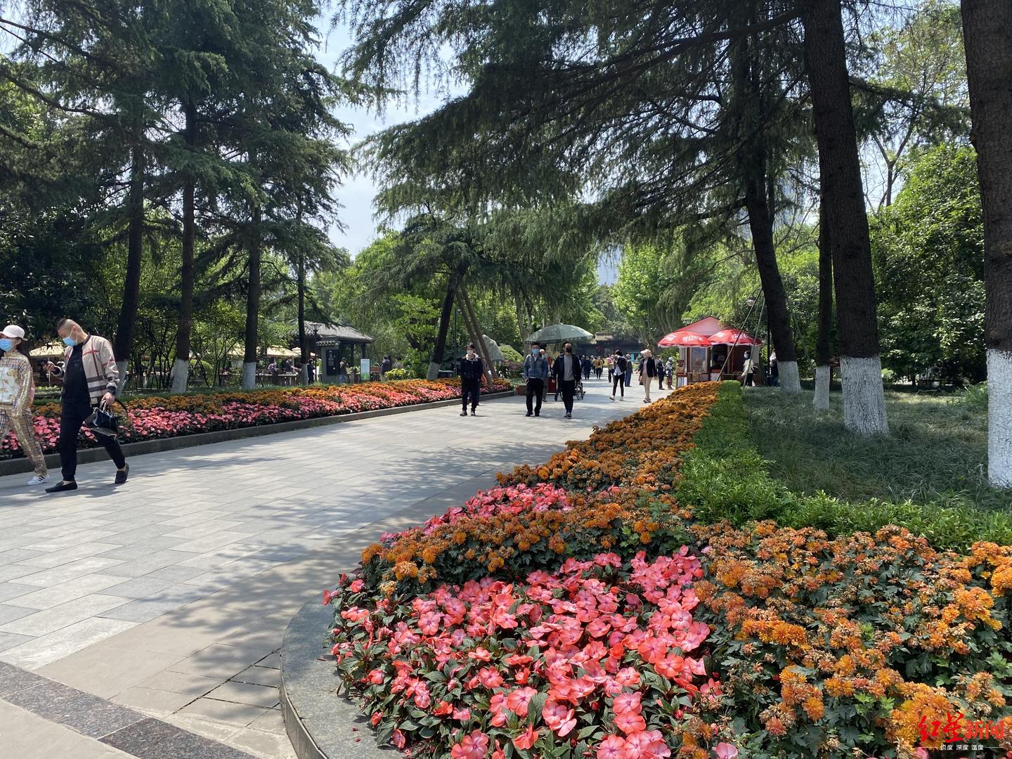 人民公園,百花潭公園……成都人,你熟悉的老公園要變靚了