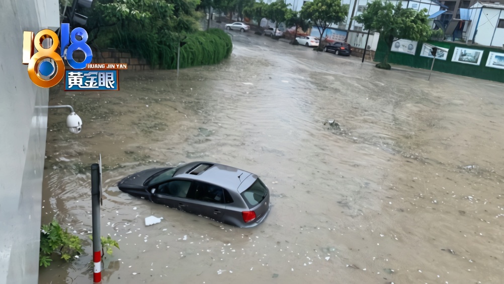 #台风黑格比#过境后 温州暴雨致多地内涝严重