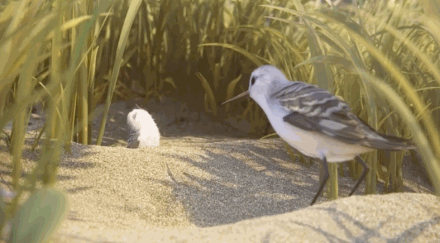 640_353gif 动态图 动图