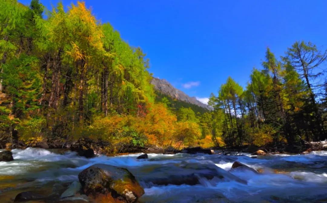理县| 乡村景色新 美丽生财富__凤凰网