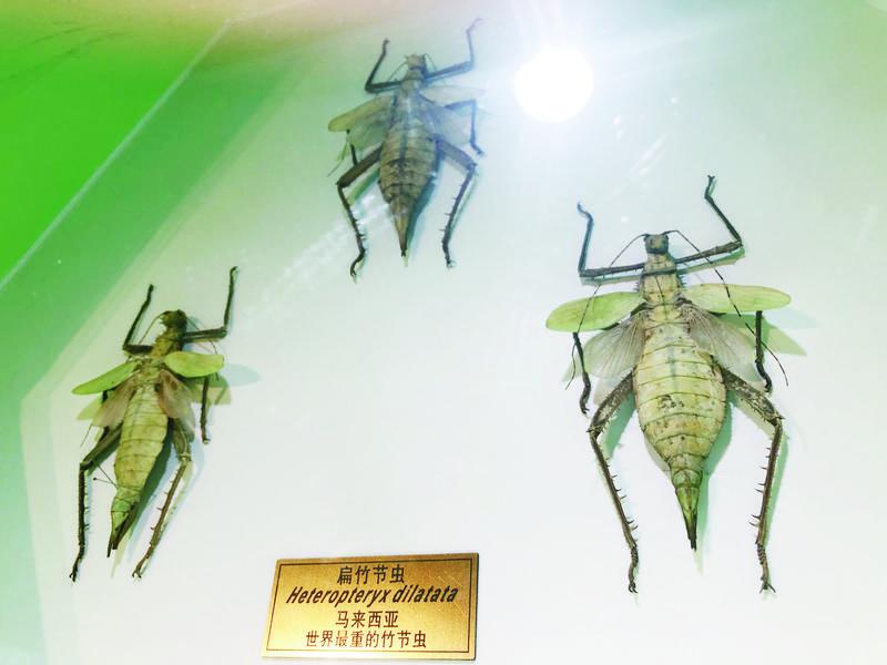 binary_middle (2).jpg