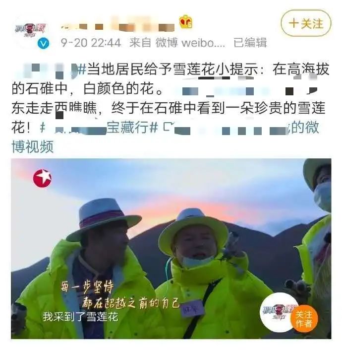 被当成 雪莲道具 采走的它 连植物学家都舍不得碰 凤凰网