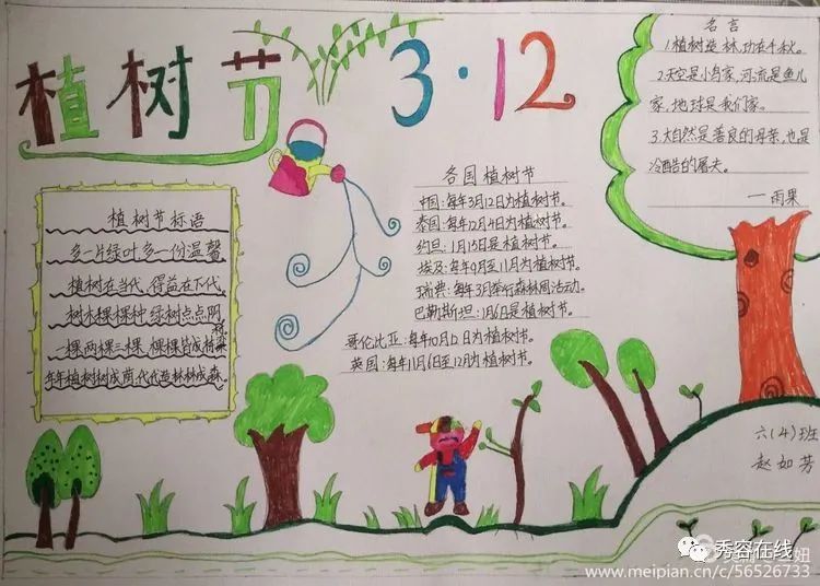 忻府区东街小学2020年植树节手抄报活动作品展