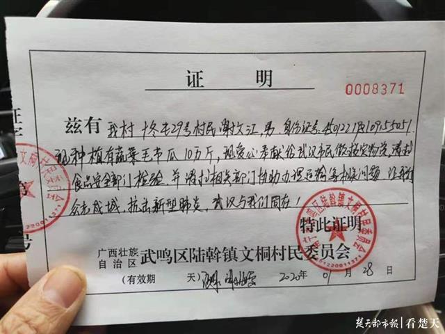 广西一瓜农变卖10万毛节瓜所得收入将捐给武汉抗击疫情