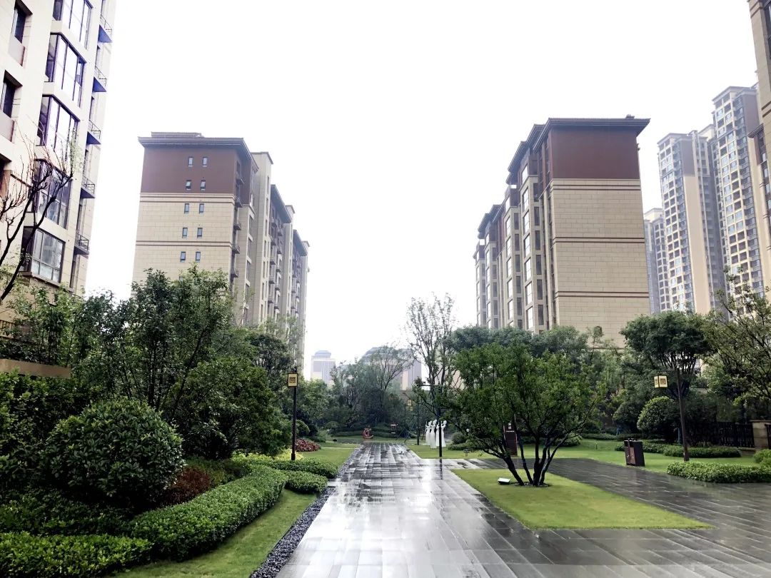 夏之画境,烟雨一府丨碧桂园·阅江府