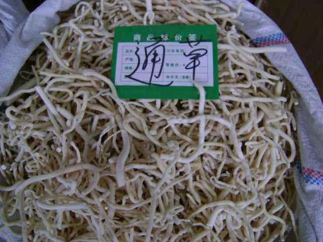 通草茶,真的很下奶,最好是药店买回来自己熬,茶包自己泡的效果没那么