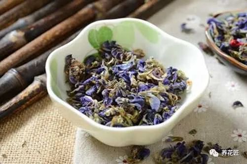 葛花茶什么人不能喝 喝葛花茶居然有这样的功效 凤凰网