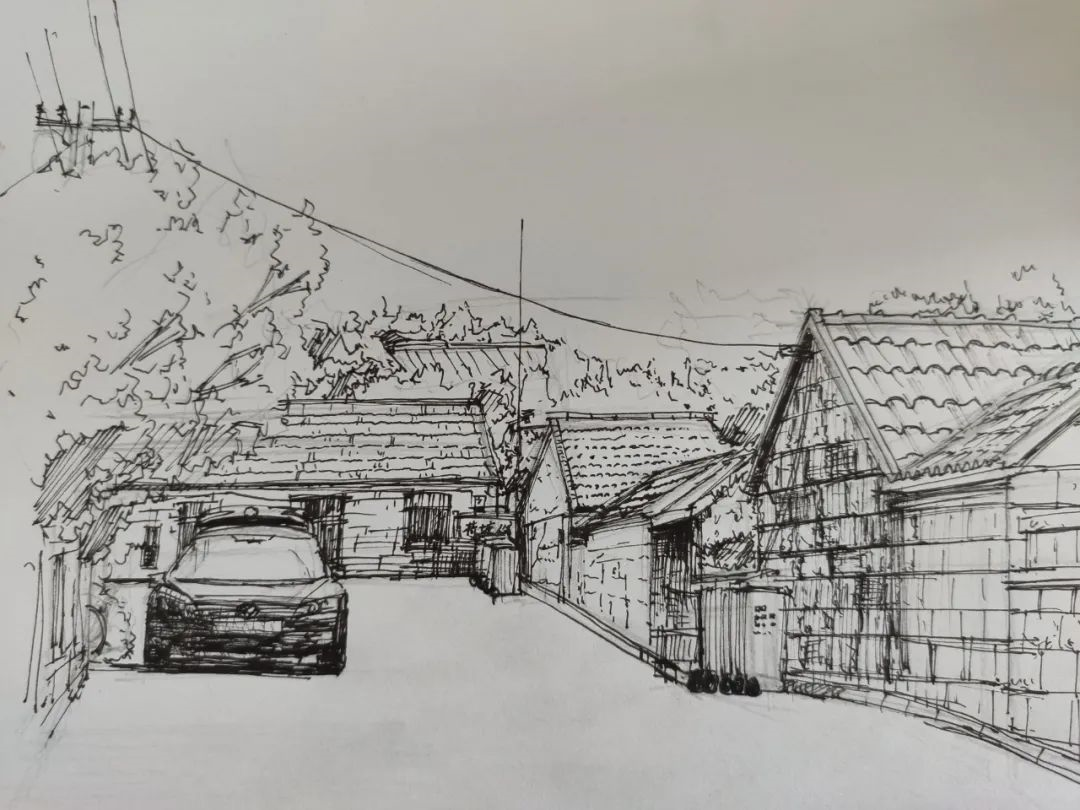 逐梦小康实践团聚焦多产业发展助力乡村振兴