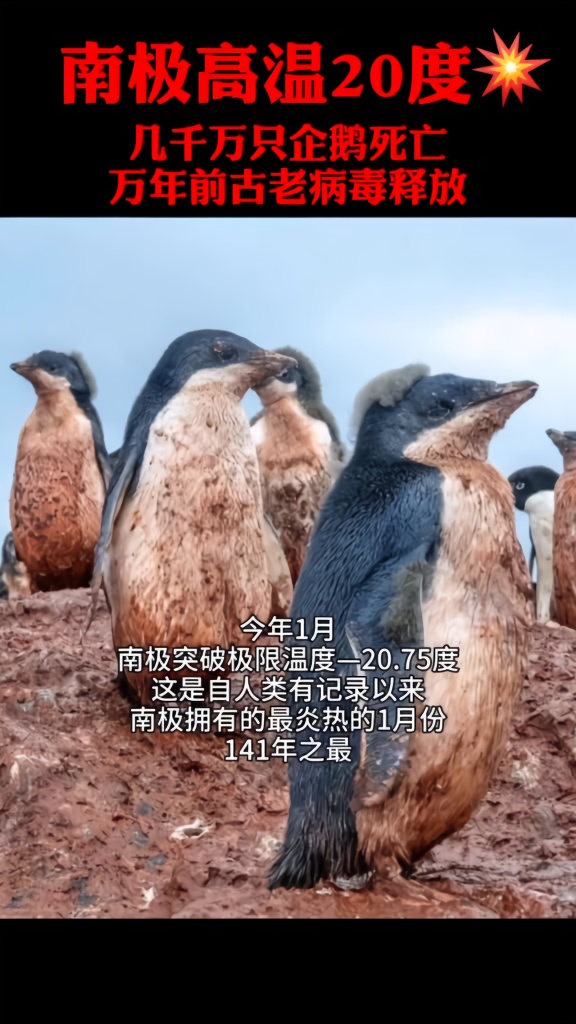 E02DDAFF2EA97CB5064E31371F1C80B45D061056_size65_w576_h1024.jpeg