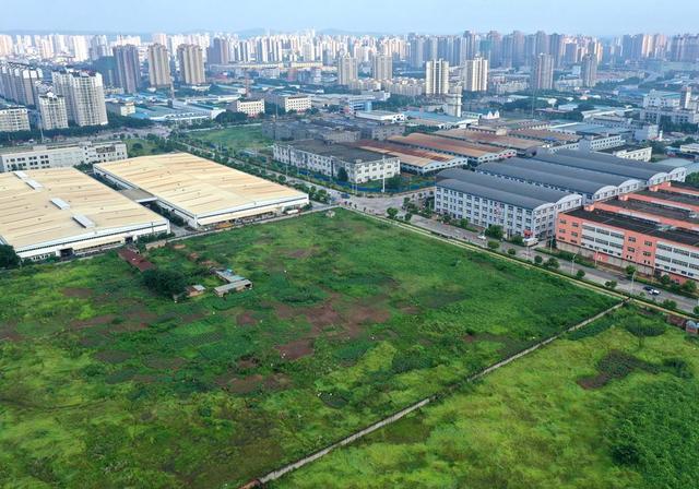 重庆荣隆工业园部分烂尾 大量土地长草闲置