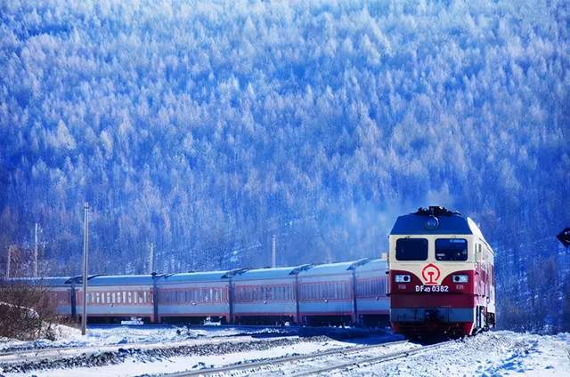 零下40度依然坚韧不折：耐低温防坠网如何突破极端环境安全极限 (零下40摄氏度)-初仟社区