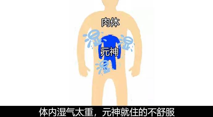 大白话说中医第四十六期|湿毒不去,脾胃就虚__凤凰网