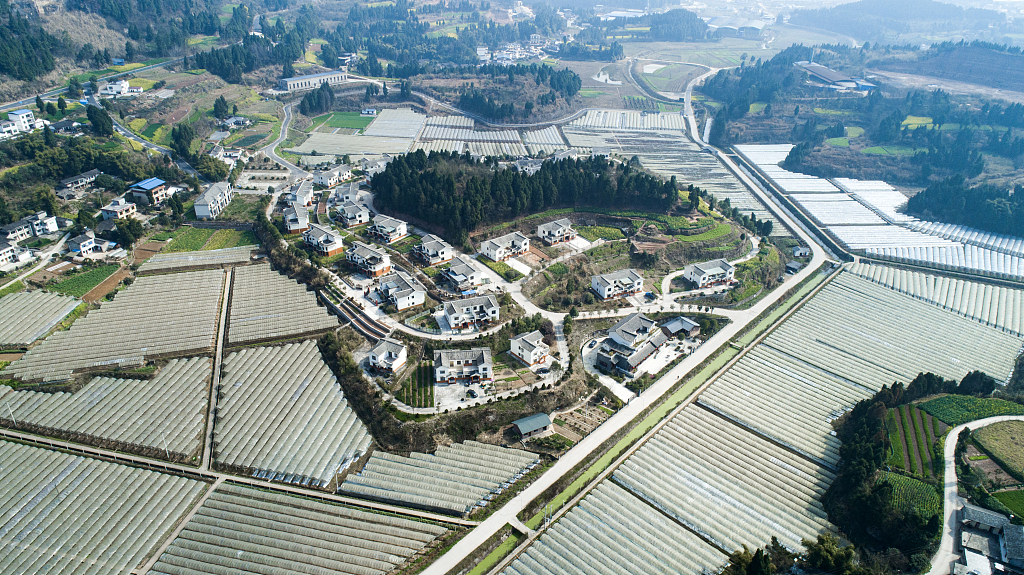 四川阆中千佛岩休闲农业产业园