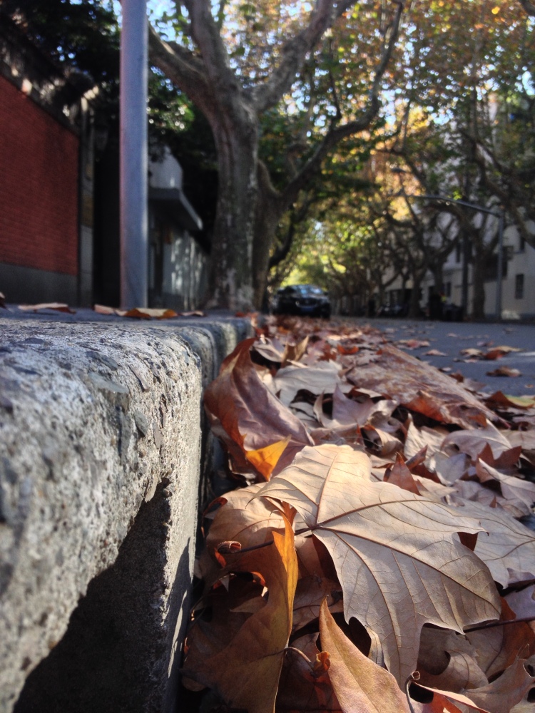 最轻便5g手机iphone12mini真实5g体验却是灾难