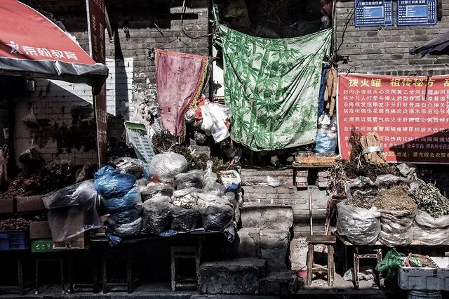 野水沟林立在高楼之间的重庆贫民窟