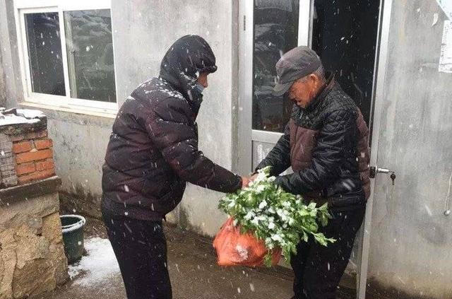 菜来了烟台海阳市抗疫卫士风雪中挨家挨户给村民送菜