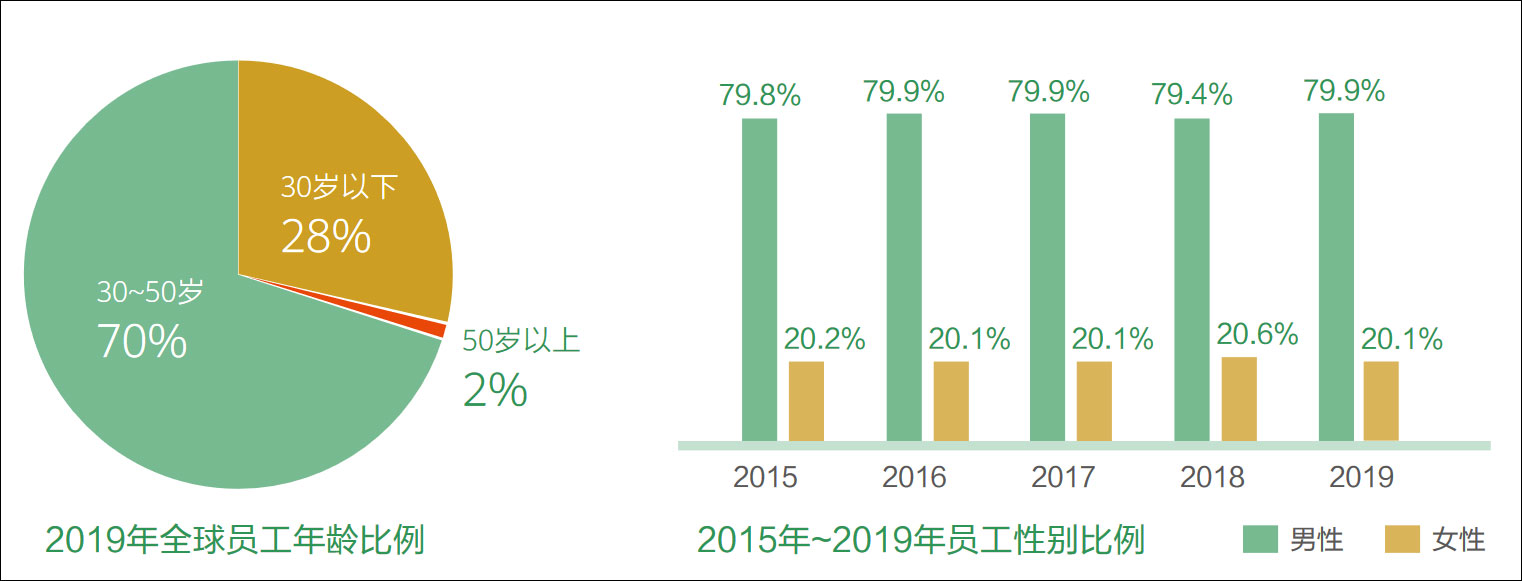 报告截图