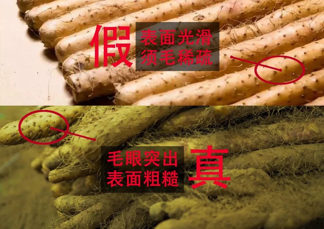 山药又被媒体曝光没想到长期吃最后竟然变成了