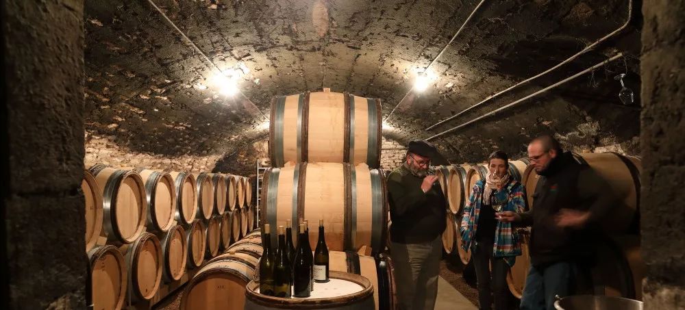 柏榕家族，Boisson-Vadot，Meursault的下一个爆款？__凤凰网