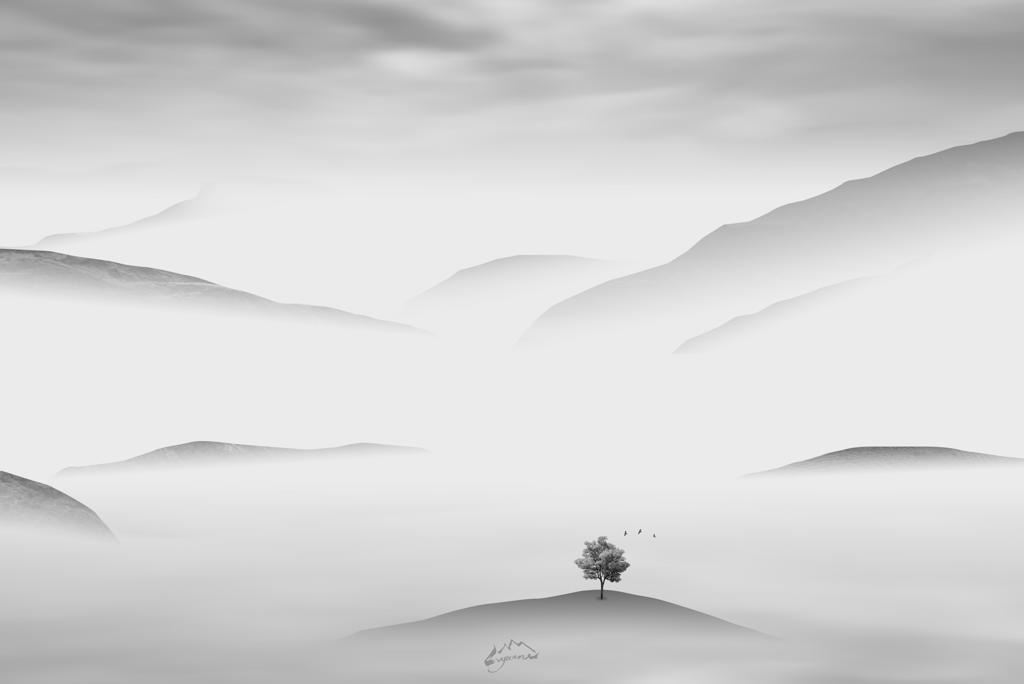 行摄重庆的山山水水,用极简诠释巴渝的最美