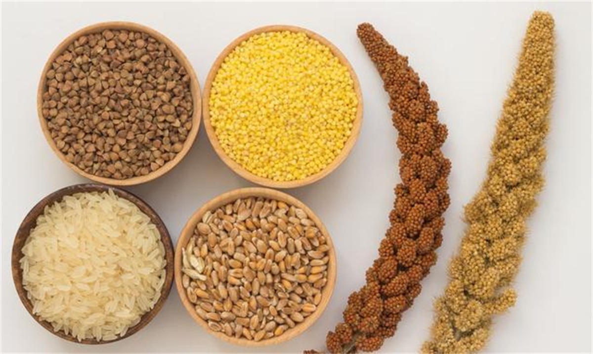 纯粮酿造工艺哪些粮食可以酿酒