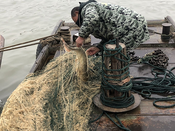 长江开启禁渔期：九江上万渔民上岸，前路在何方？