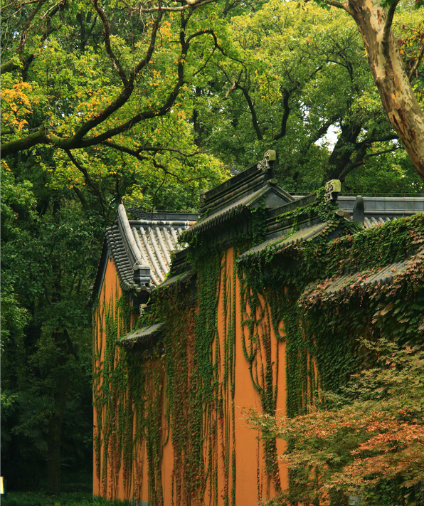 江浙沪皖秋季最值得去的十大景点