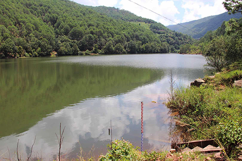 9月1日,在新平县他拉河水库,记者看到水库内蓄满了水,水位已超出坝面